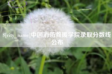 迪庆中国消防救援学院录取分数线公布