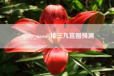 迪庆排三九宫图预测