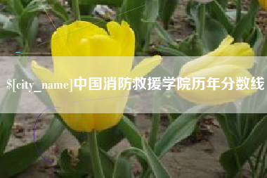 迪庆中国消防救援学院历年分数线