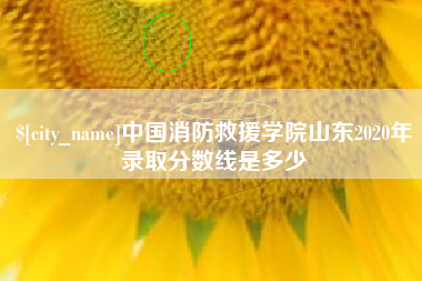 迪庆中国消防救援学院山东2020年录取分数线是多少