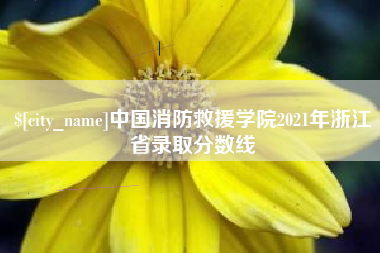 迪庆中国消防救援学院2021年浙江省录取分数线