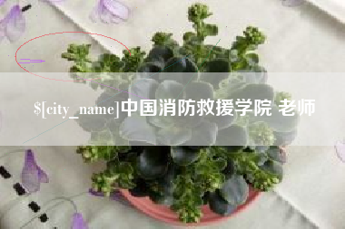 迪庆中国消防救援学院 老师