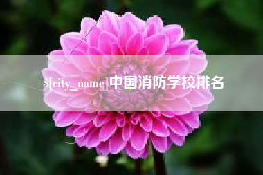 迪庆中国消防学校排名