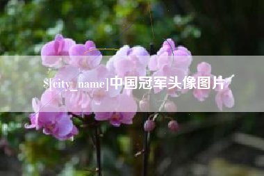 迪庆中国冠军头像图片
