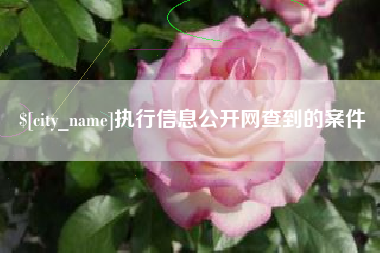 迪庆执行信息公开网查到的案件