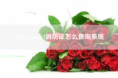 迪庆消防证怎么查询系统