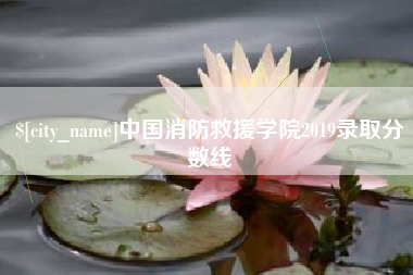 迪庆中国消防救援学院2019录取分数线