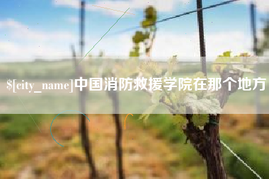 迪庆中国消防救援学院在那个地方