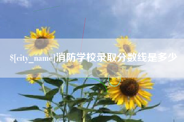 迪庆消防学校录取分数线是多少