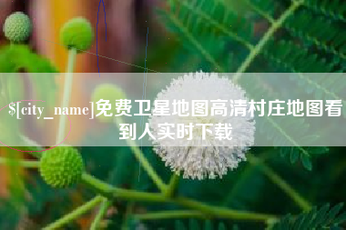 迪庆免费卫星地图高清村庄地图看到人实时下载