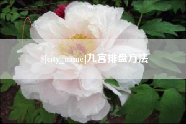 迪庆九宫排盘方法