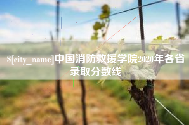 迪庆中国消防救援学院2020年各省录取分数线
