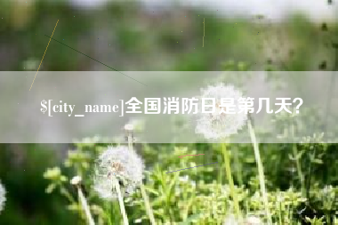 迪庆全国消防日是第几天？