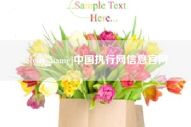迪庆中国执行网信息官网