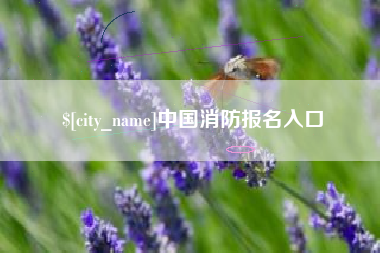 迪庆中国消防报名入口