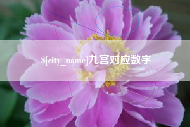 迪庆九宫对应数字