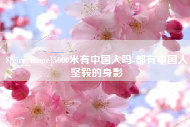 迪庆5000米有中国人吗-都有中国人坚毅的身影