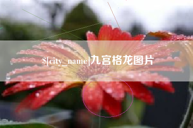 迪庆九宫格龙图片