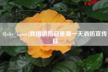 迪庆我国消防日是哪一天消防宣传日