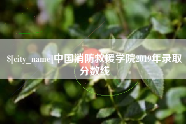 迪庆中国消防救援学院2019年录取分数线