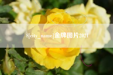 迪庆金牌图片2021