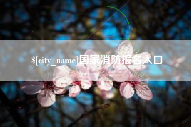 迪庆国家消防报名入口