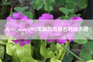 迪庆2025年消防员报名时间表格