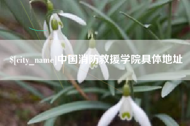 迪庆中国消防救援学院具体地址