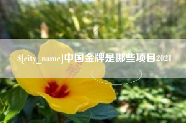 迪庆中国金牌是哪些项目2021