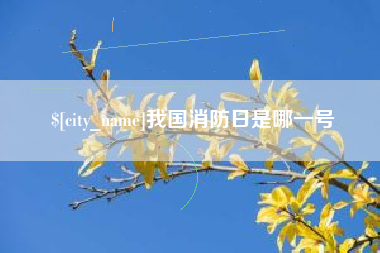 迪庆我国消防日是哪一号