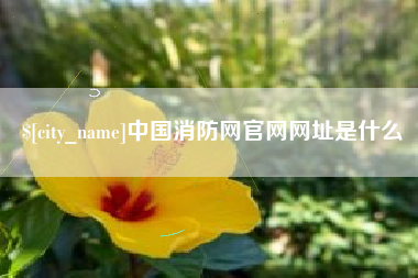 迪庆中国消防网官网网址是什么