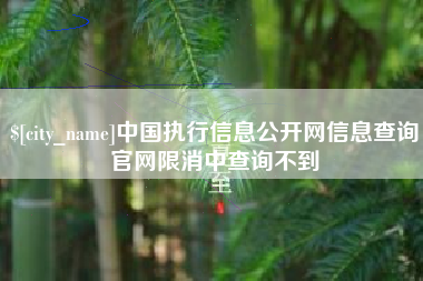 迪庆中国执行信息公开网信息查询官网限消中查询不到