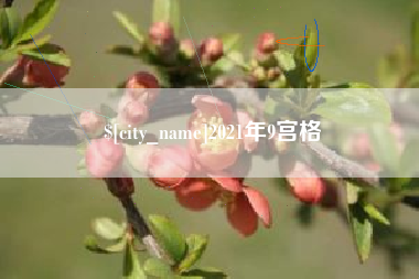 迪庆2021年9宫格