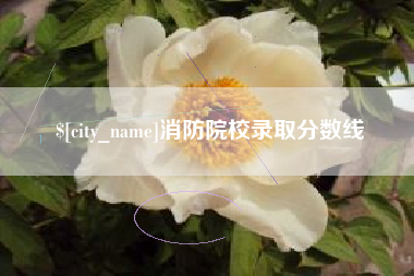 迪庆消防院校录取分数线