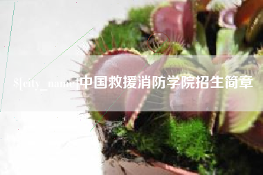 迪庆中国救援消防学院招生简章