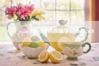 迪庆中国消防救援学院分数2020