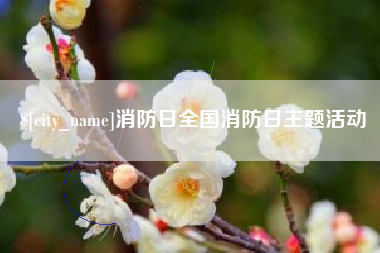 迪庆消防日全国消防日主题活动