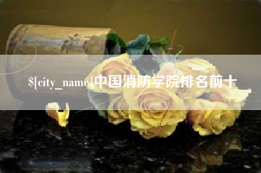 迪庆中国消防学院排名前十