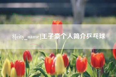 迪庆王子豪个人简介乒乓球