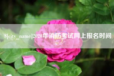 迪庆2020年消防考试网上报名时间