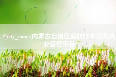 迪庆内蒙古自治区消防技术服务执业管理平台