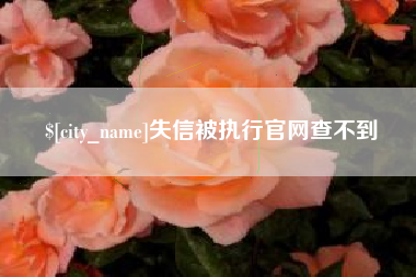 迪庆失信被执行官网查不到