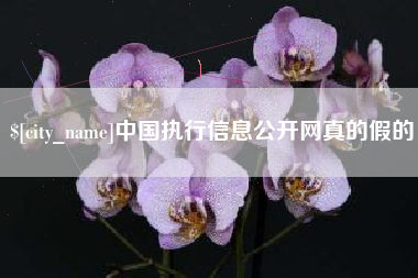 迪庆中国执行信息公开网真的假的