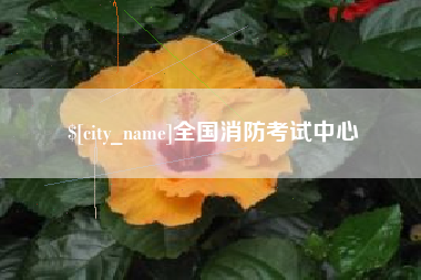 迪庆全国消防考试中心