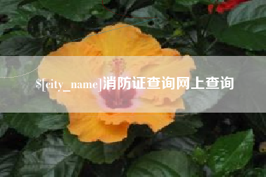 迪庆消防证查询网上查询