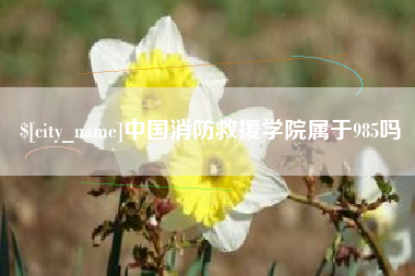 迪庆中国消防救援学院属于985吗