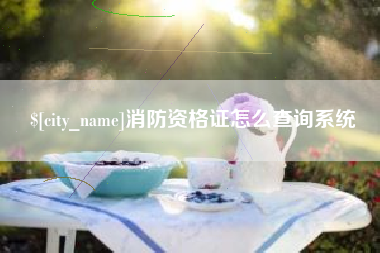 迪庆消防资格证怎么查询系统