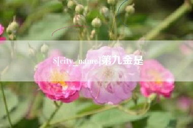 迪庆第九金是