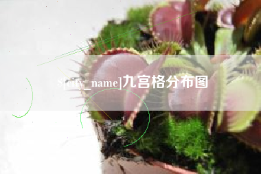 迪庆九宫格分布图