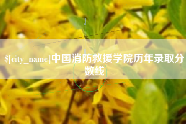 迪庆中国消防救援学院历年录取分数线
